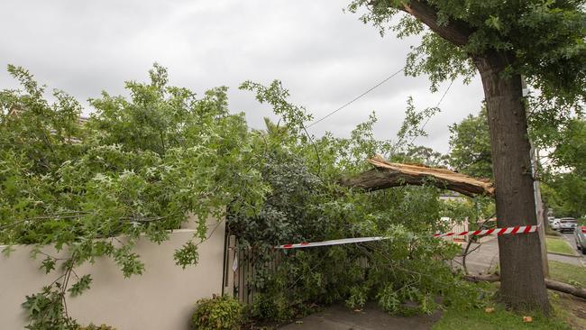 Balwyn North was one of the hardest hit areas. Picture: Sarah Matray