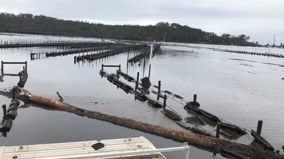 About 80 oyster farms operate between the Shoalhaven River and Victorian border. Picture: Jase Finlay.