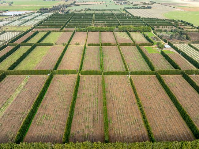 bunbartha orchards the weekly times