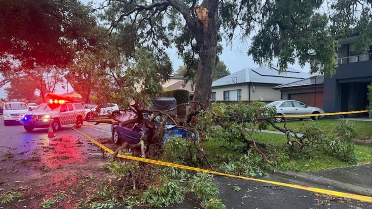 Tree branches land on parked cars. Picture: NSW SES via NCA NewsWire