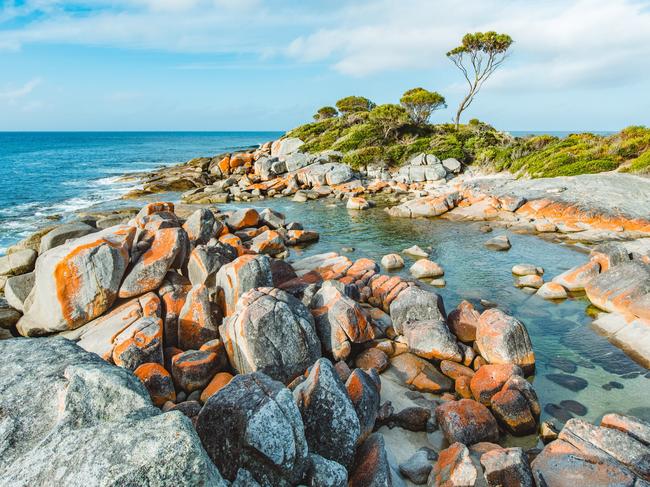 Red rock coastline seen at Bay of Fires on the east coast of Tasmania, Australia.Escape 7 April 2024NewsPhoto - iStock