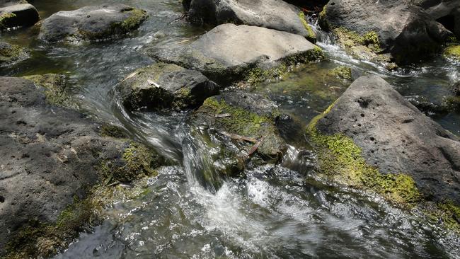 The Maribyrnong River has been contaminated with PFAS for nearly two years.