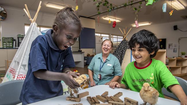 Chirp of approval: New kindy welcomes students and class pets