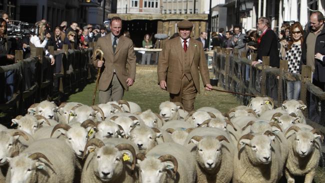 Shepherds tend to sheep in Savile Row, London's premier tailoring street, in central London, back in October 2010. The street was turned into an urban farm in support of The Prince of Wales' Campaign for Wool. (AP Photo/Lefteris Pitarakis)