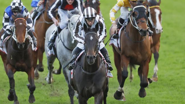 Ron Dufficy says Winter Challenge favourite Cross Talk is a horse on the up. Picture: Mark Evans/Getty Images