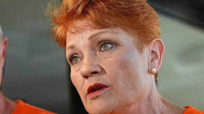 Pauline Hanson. Picture: Patrick Woods