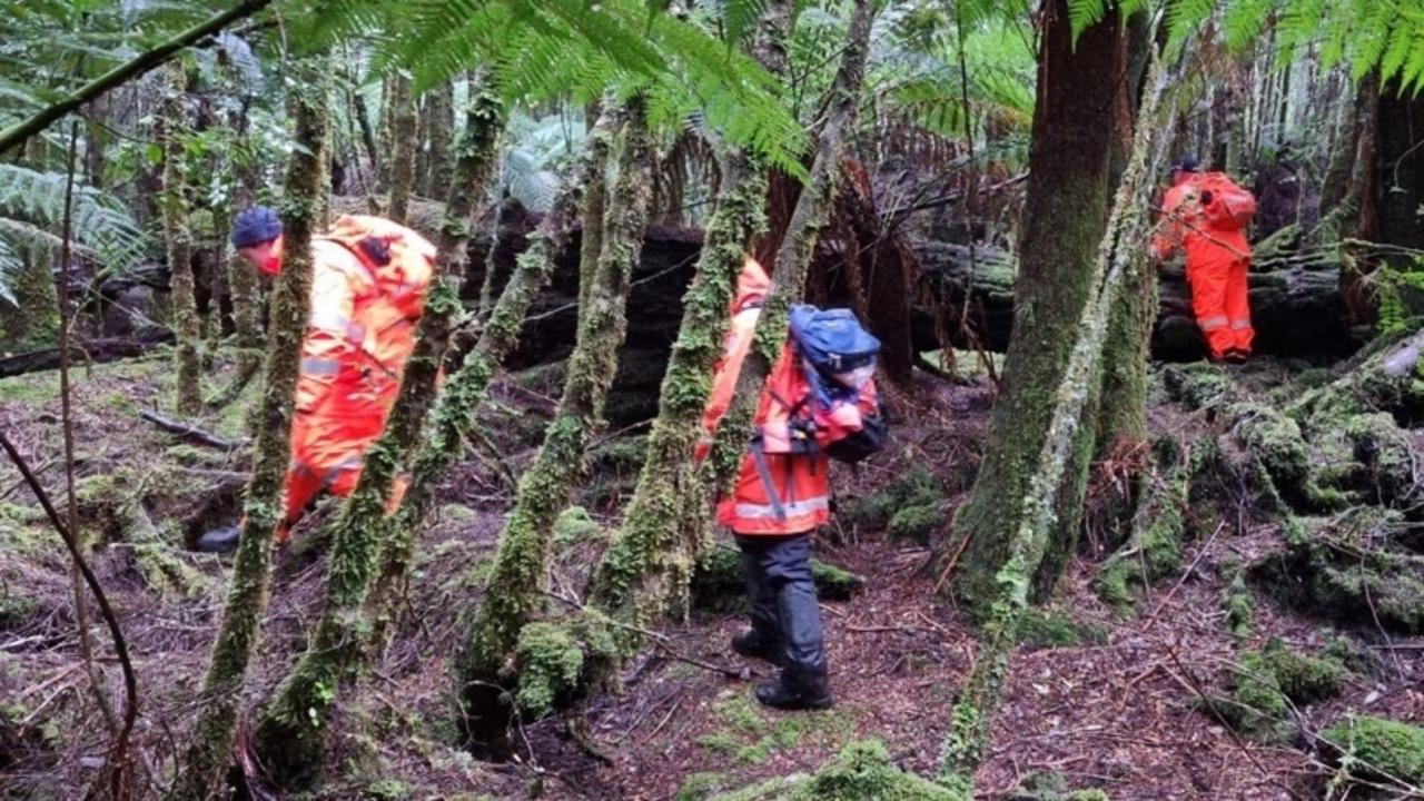 SES crews and police search for missing Belgian tourist Celine Cremer at the Philosopher Falls track area outside Waratah. Picture: Tasmania Police.