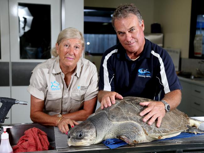 Jenny Gilbert and Dr Rodney Gilbert. Pic: Stewart McLean