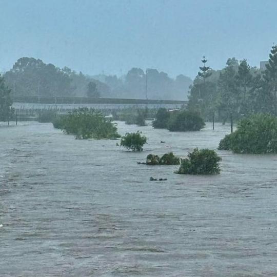 Major flooding along the Kedron Brook.