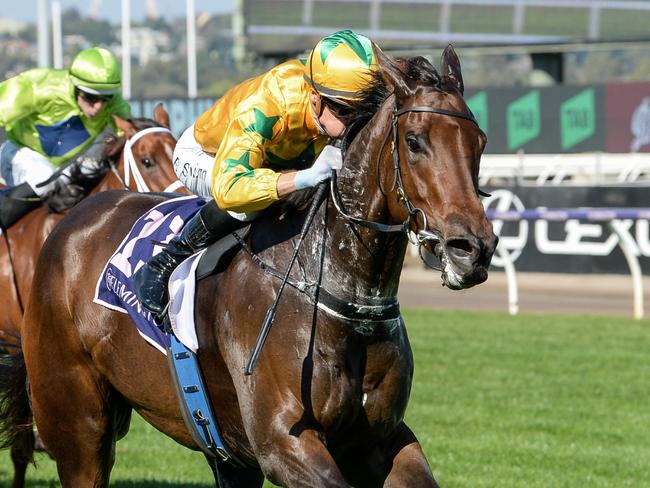 Estriella ridden by Blake Shinn wins the Sunlight Classic at Flemington Racecourse on March 30, 2024 in Flemington, Australia. (Photo by Ross Holburt/Racing Photos via Getty Images)