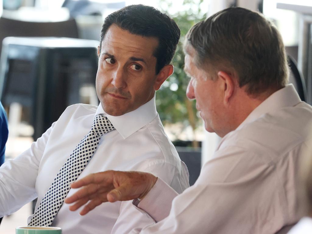 Dutton in green nuclear pitch to Crisafulli