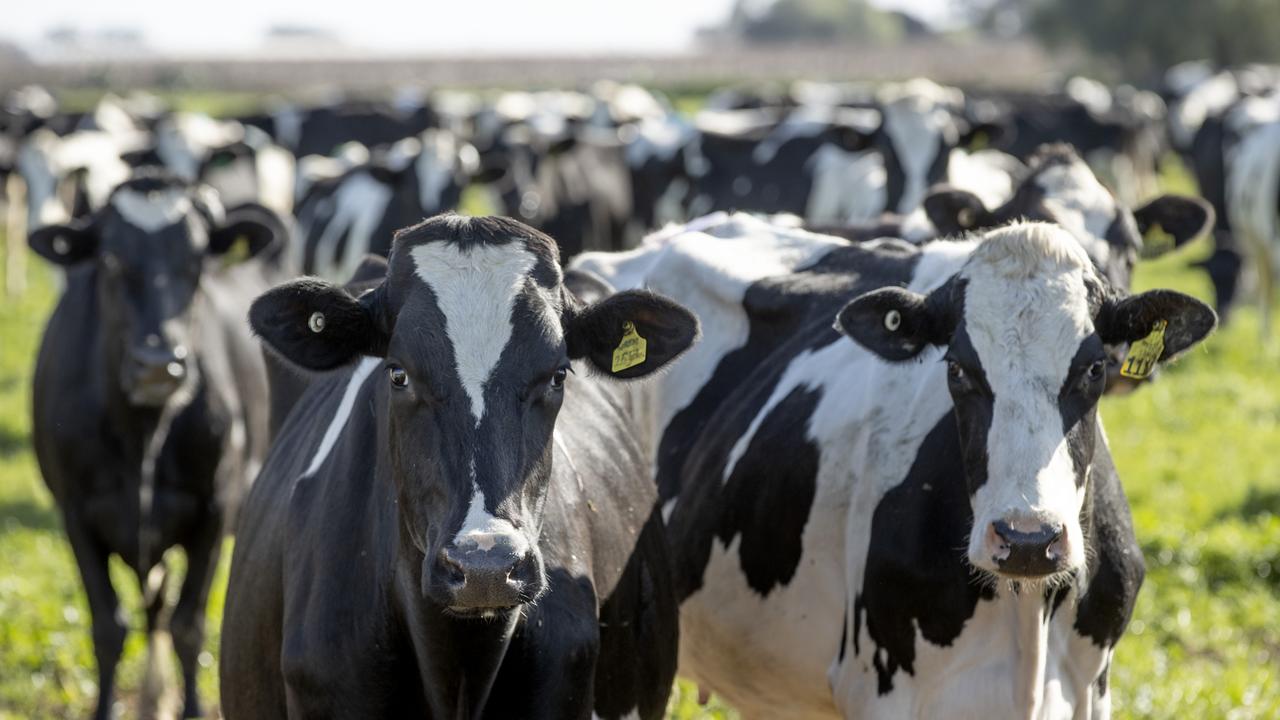 Non-bank lending in Australian agriculture booms 400 per cent