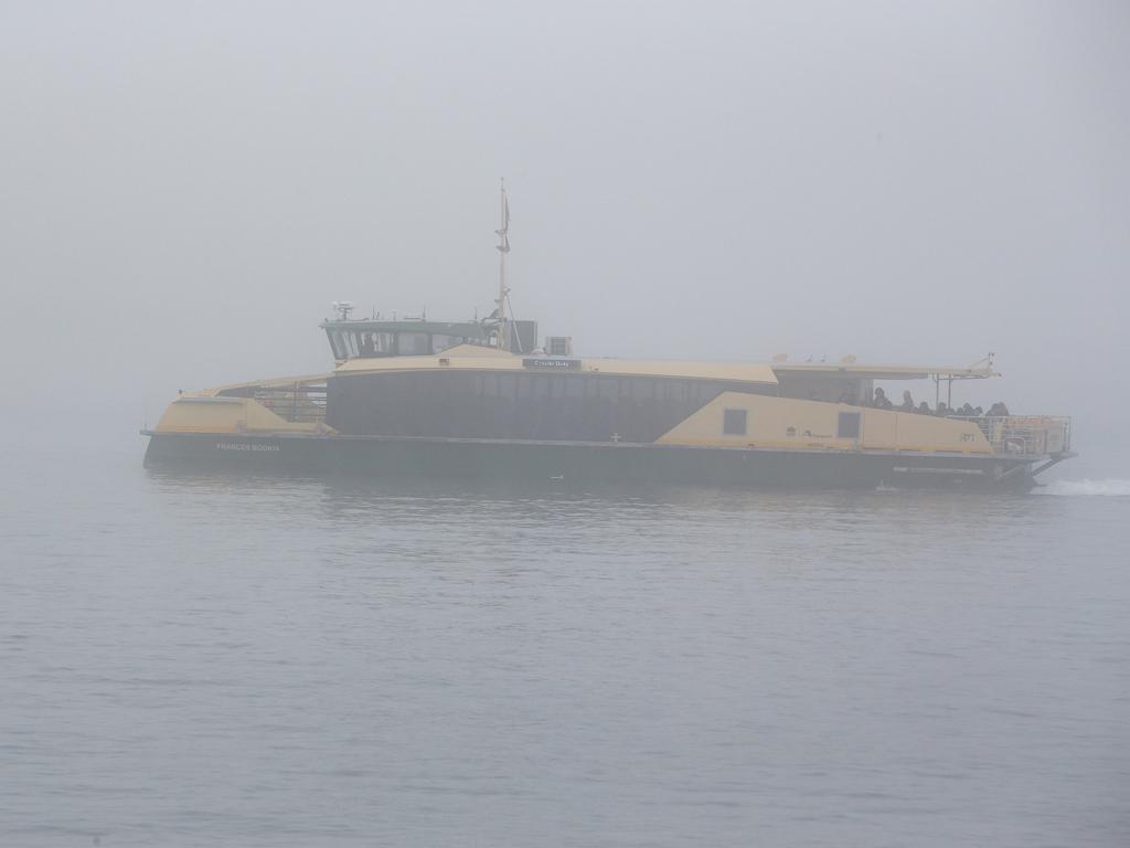 Ferry captains face poor visibility. Photo: NewsWire / Gaye Gerard