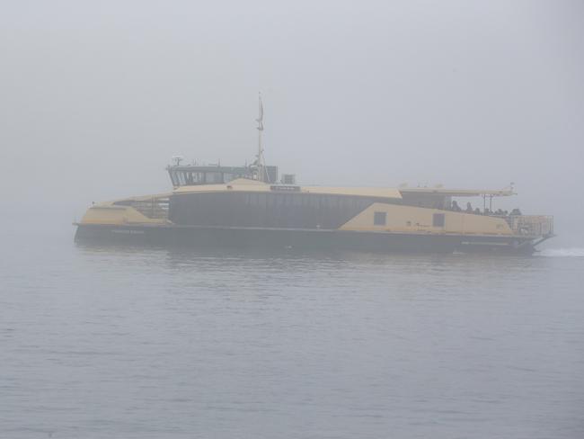 Ferry captains face poor visibility. Photo: NewsWire / Gaye Gerard