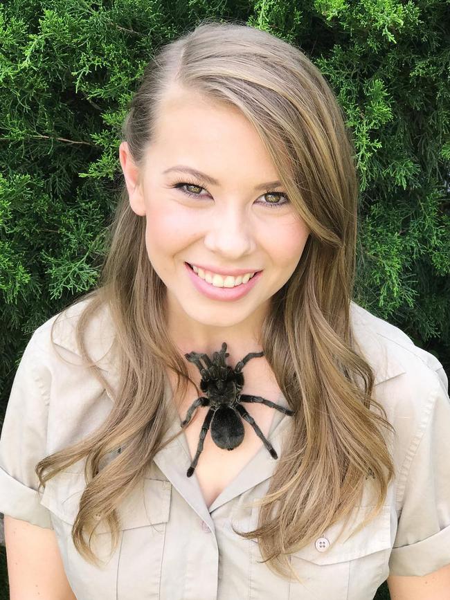 ’Some days you just need to cuddle a tarantula. Her name is Harriet.’ Picture: Bindi Irwin/Instagram