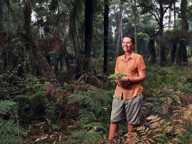 12/02/20 Heidi Zimmer with her 18-month-old son Oscar in a forest near Marlow in East Gippsland. Heidi did her PhD on the Wollemi Pine and was a part of a rescue mission to help save the endangered pine when recent fires in NSW threatened their habitat. Aaron Francis/The Australian