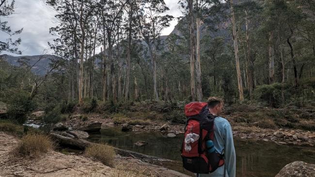 Walking along Blue Gum Forest, every step reminding me why I should have packed more efficiently... Image: supplied