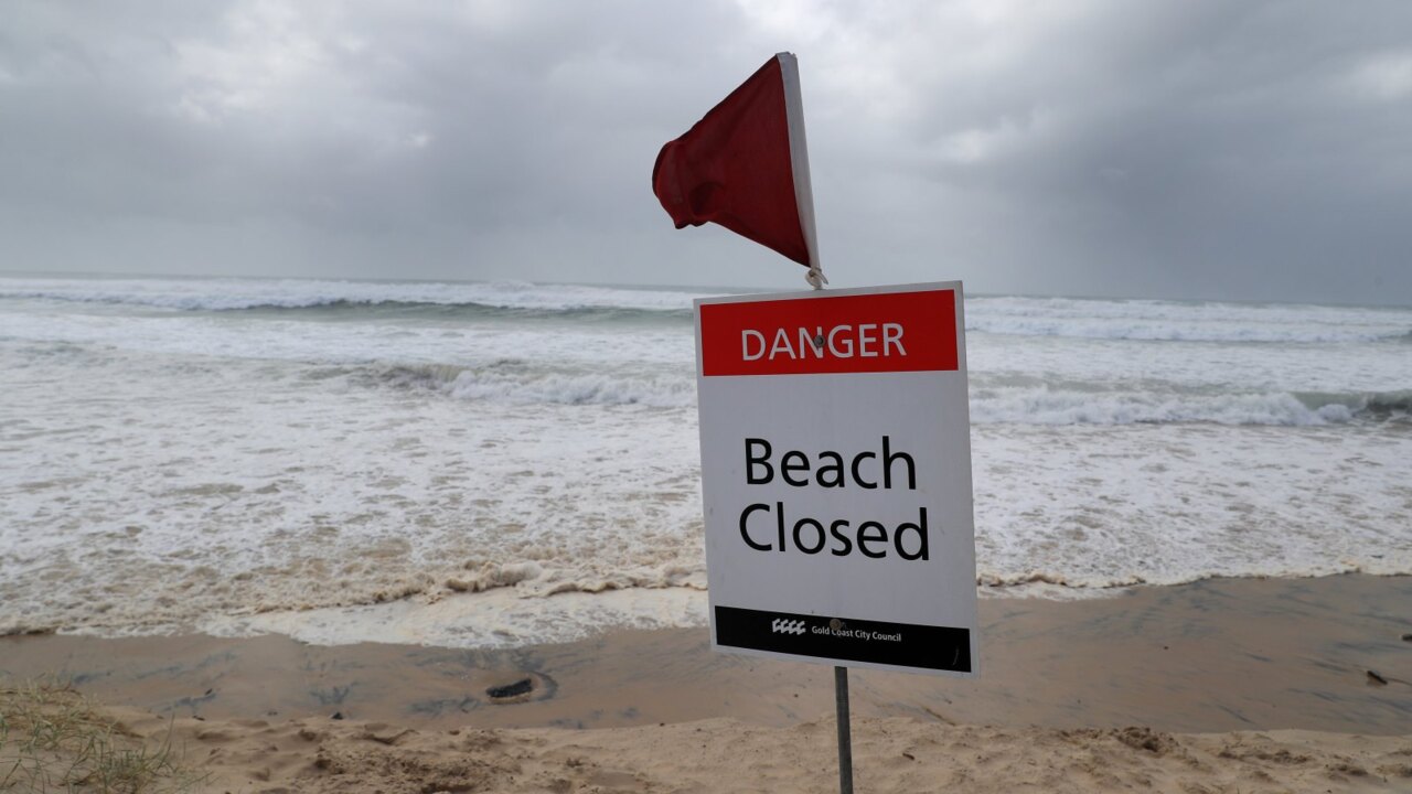 1280px x 720px - Mike Carlton spotted 'letting the budgies free' at local beach | Sky News  Australia