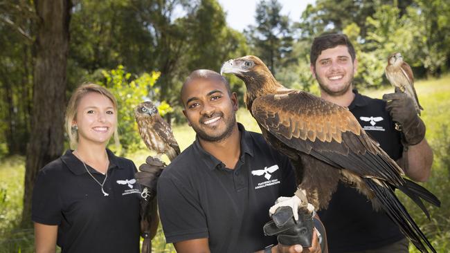 Kayleen Crawford, Ravi Wasan and Ales Saleeby with some of the birds that will feature at their Sydney Royal Easter Show performances. Picture: MELVYN KNIPE