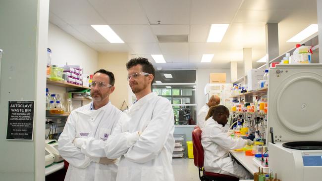 University of Queensland scientists are busy in the lab, as part of an international collaboration to develop a vaccine for the recent coronavirus outbreak. Picture supplied.