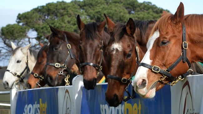 Retired superstar gallopers Efficient, Zipping, Brew, Might and Power, Rogan Josh and Apache Cat at Living Legends. Picture: Kylie Else
