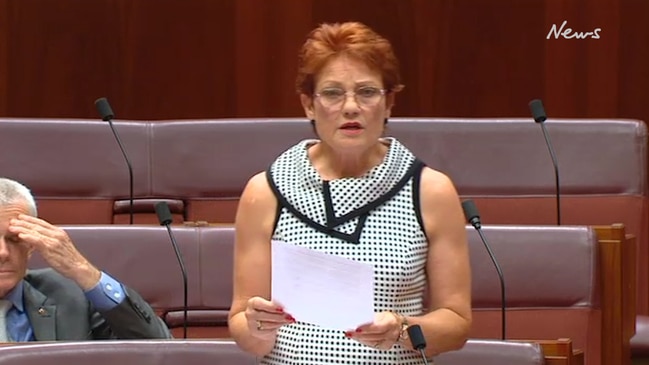 Pauline Hanson Blasted As ‘racist’ For Closing The Gap Speech | News ...