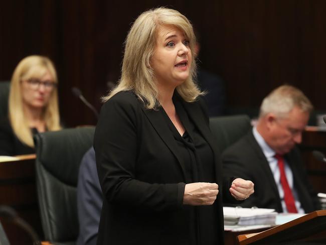 Minister for Science and Technology Madeleine Ogilvie. Picture: Nikki Davis-Jones