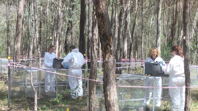 The ‘Body Farm’ is in a secretive place on the outskirts of Sydney. Picture: Anna Zhu