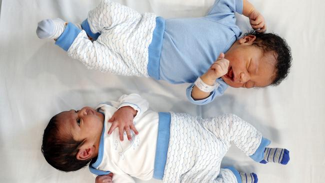 Newborn babies in Westmead Hospital.