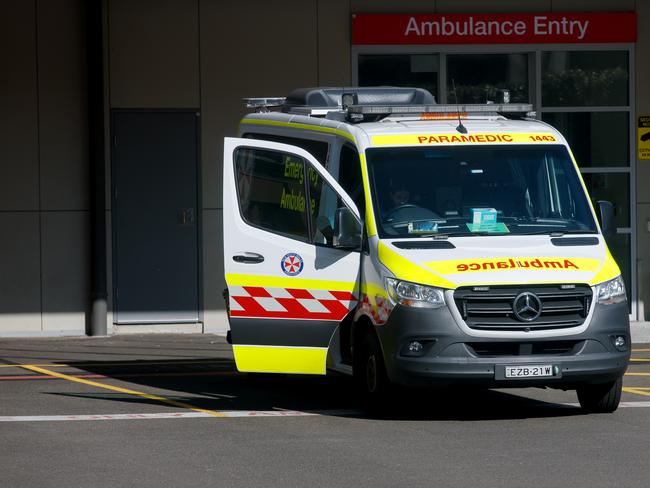 A woman has lost an arm after a dog attack in Townsville. Picture: NewsWire / Nikki Short