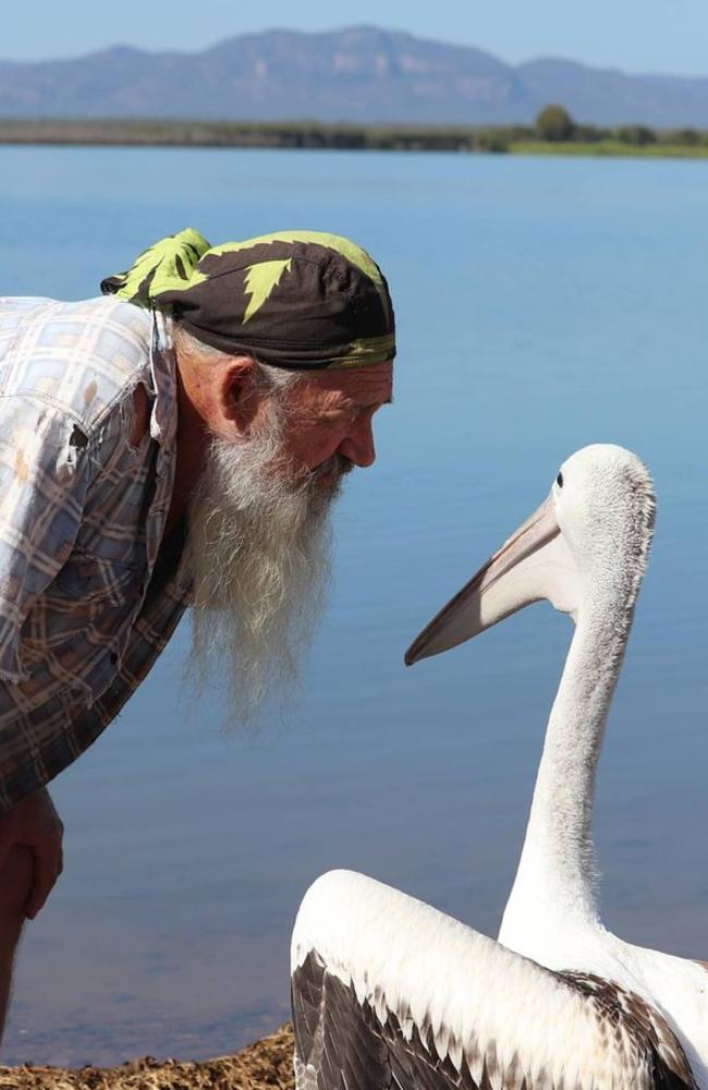 Chris Bell having a chinwag with the young pelican, who at first, would not leave his side. Picture: NQ Wildlife Care