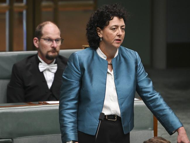 CANBERRA, Australia, NewsWire Photos. May 15, 2024: Monique Ryan MP during Question Time at Parliament House in Canberra. Picture: NCA NewsWire / Martin Ollman