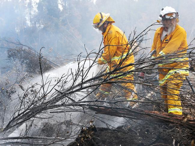 South Australian fire fighters mop up in bush land near Forest