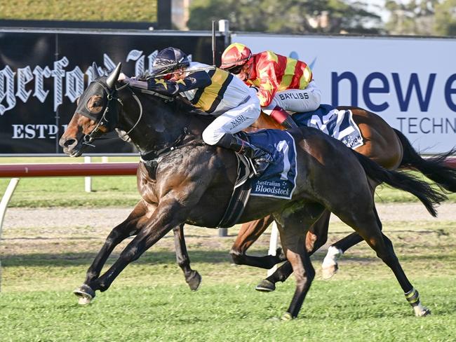 Here To Shock winning the Cameron Handicap at Newcastle for jockey Nash Rawiller and trainers Ben, Will and JD Hayes, September 20, 2024 Picture: Bradley Photos