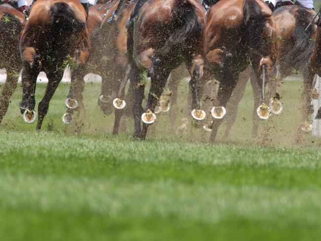 Horse races generic