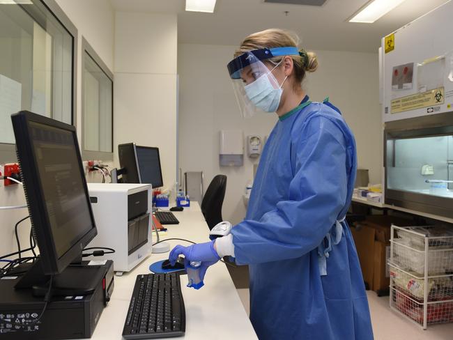 Medical scientist Ashley Zviedrans who is involved with COVID-19 testing in the laboratory in SA Pathology lab at Royal Adelaide Hospital. Picture: Naomi Jellicoe