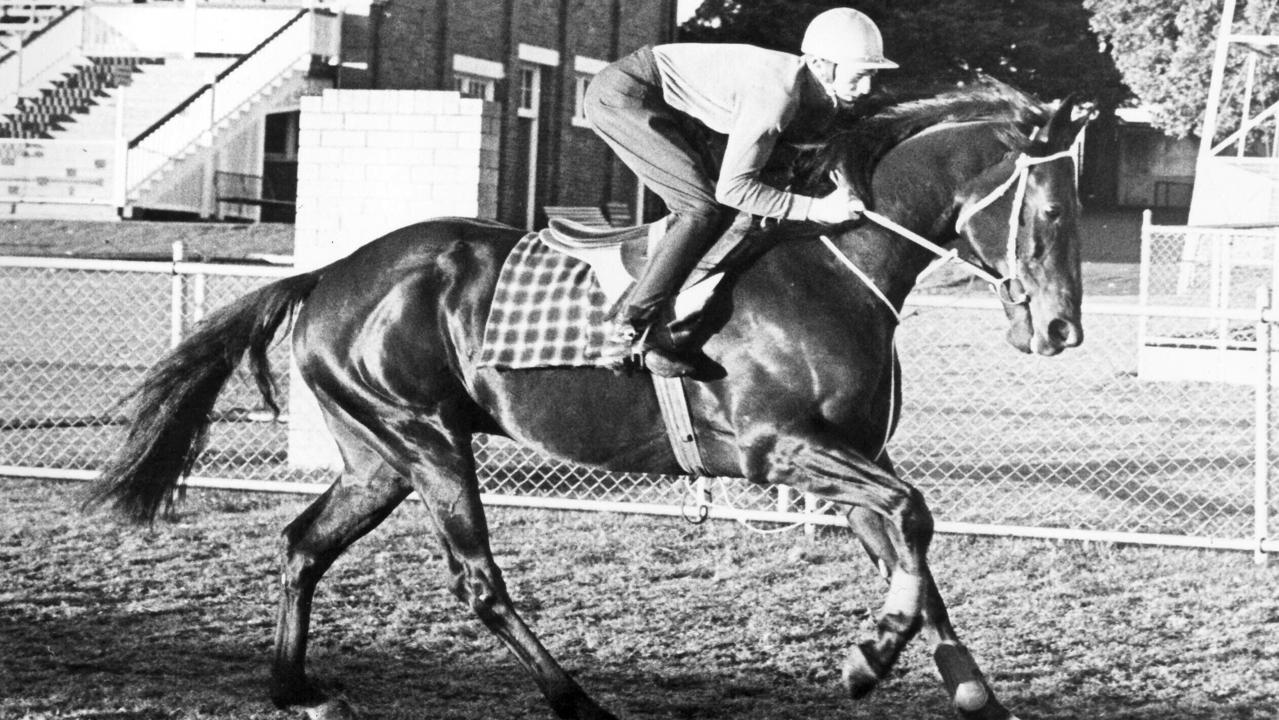 Jun 1976 file pic of racehorse Dalrello in action at Clifford Park Toowoomba with jockey Squain in the saddle. sport horseracing