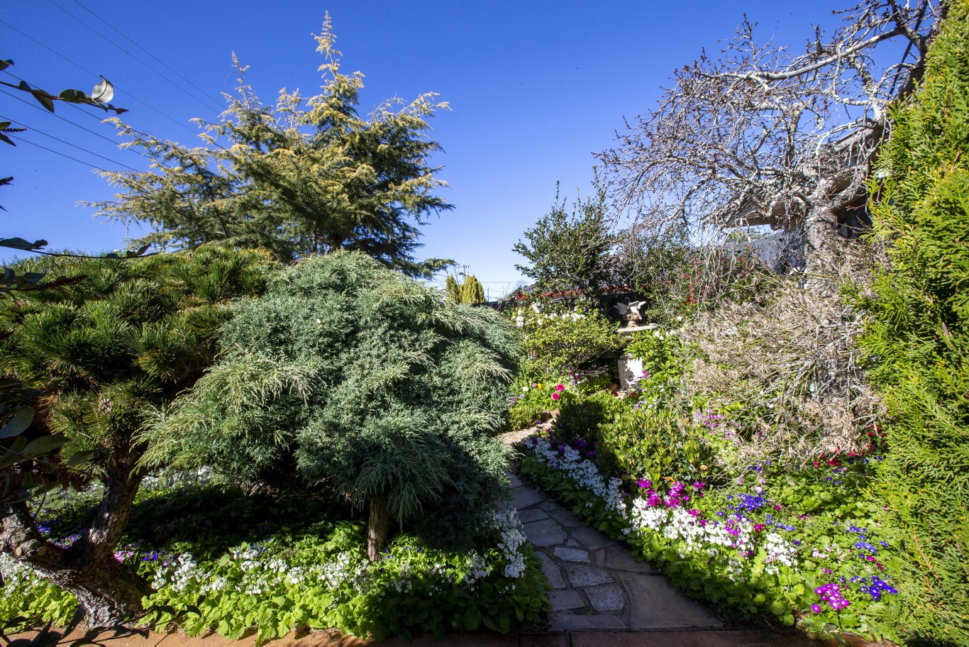 Garden For Good. Bob and Val Ford. Picture: Sarah Marshall