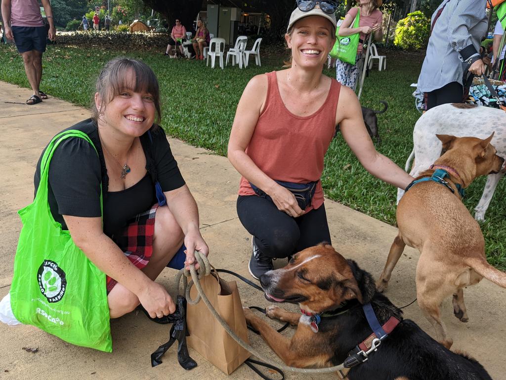 RSPCA Darwin Million Paws Walk 2022 gallery | Daily Telegraph