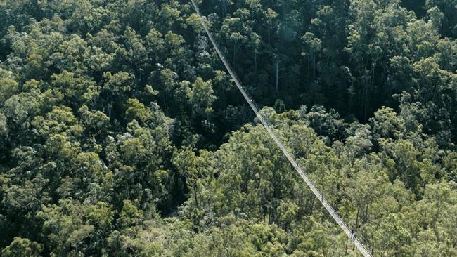 Detailed designs for the Mt Coot-tha zipline have been unveiled.