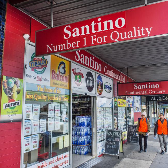 Santino in Lalor. Picture: Rob Leeson