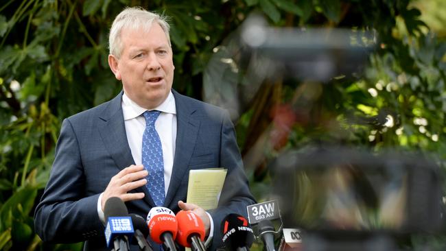 Liberal MP David Davis has criticised the Victorian Greens for their motions critical of Israel. Picture: Andrew Henshaw/NewsWire