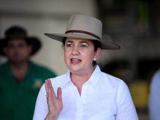 Queensland Premier Annastacia Palaszczuk said a border decision would be made the day before the state election. Picture: NCA NewsWire / Dan Peled