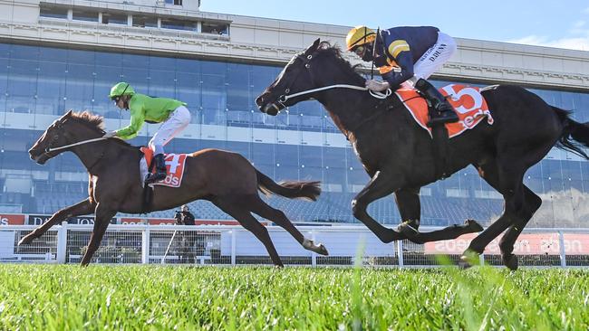 Our Playboy (green) will be aimed at the Gold Coast Magic Millions Guineas. Picture: Getty