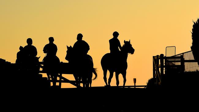 Spring racing is back. Picture: Nicole Garmston