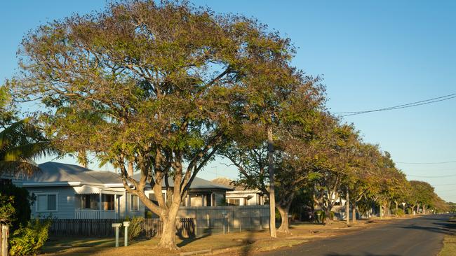 Alice St, Walkervale