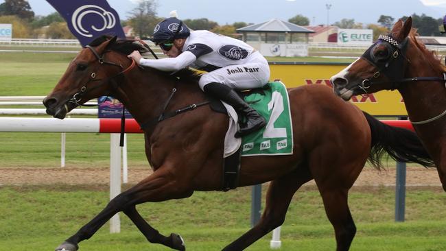 Malkovich will race for Magic Bloodstock Racing in Saturday’s The Quokka