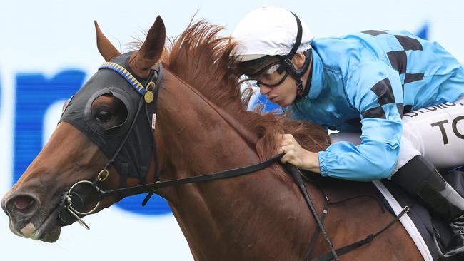 Ellsberg will be chasing back-toback wins on Saturday at Royal Randwick. Picture: Getty Images