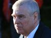 Andrew denied bid to use Australia ‘loophole’