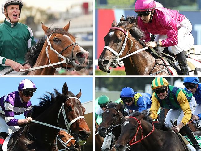 Key chances in Saturday's Verry Elleegant Stakes include (clockwise, from top left) Via Sistina, Fangirl, Ceolwulf and Lindermann.